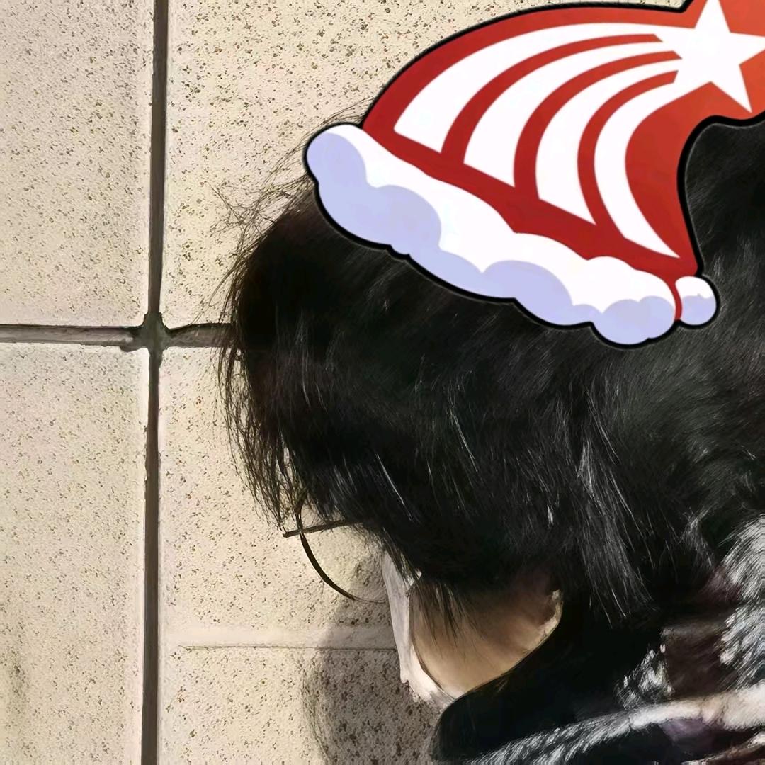 安世.