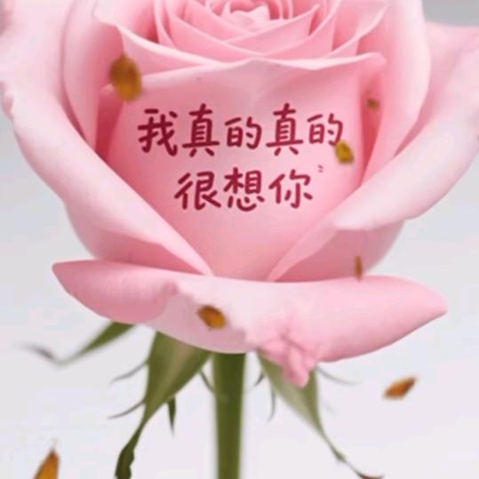 曾经心痛