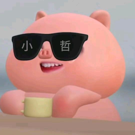 小哲ʚ🐷⁷¹³ɞ