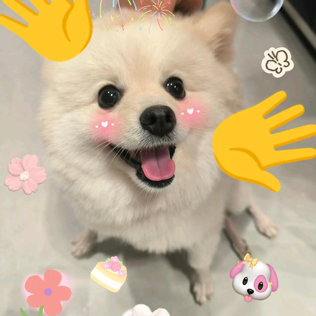 🍓