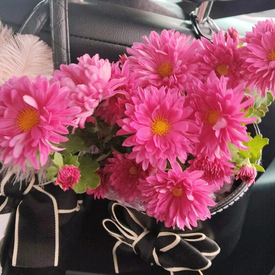 @晓《拒绝连赞》