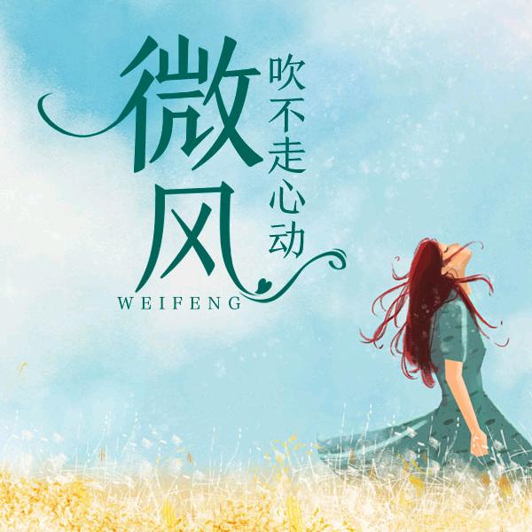 快乐的微风@G