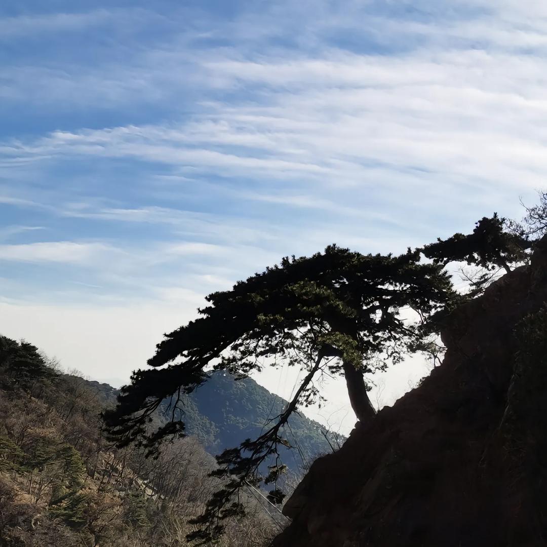 香烟和火柴的故事
