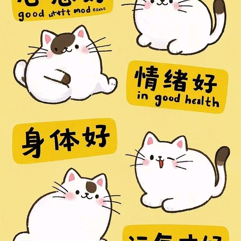 小陈故事多+
