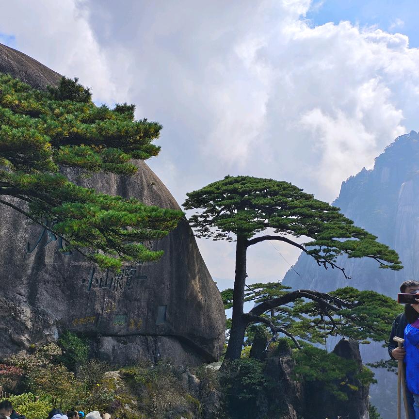 坦坦荡荡