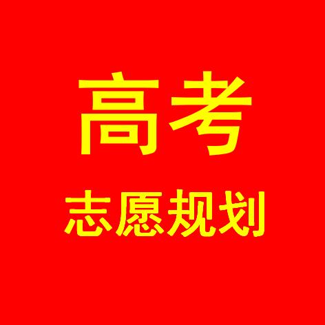 杨老师聊高考