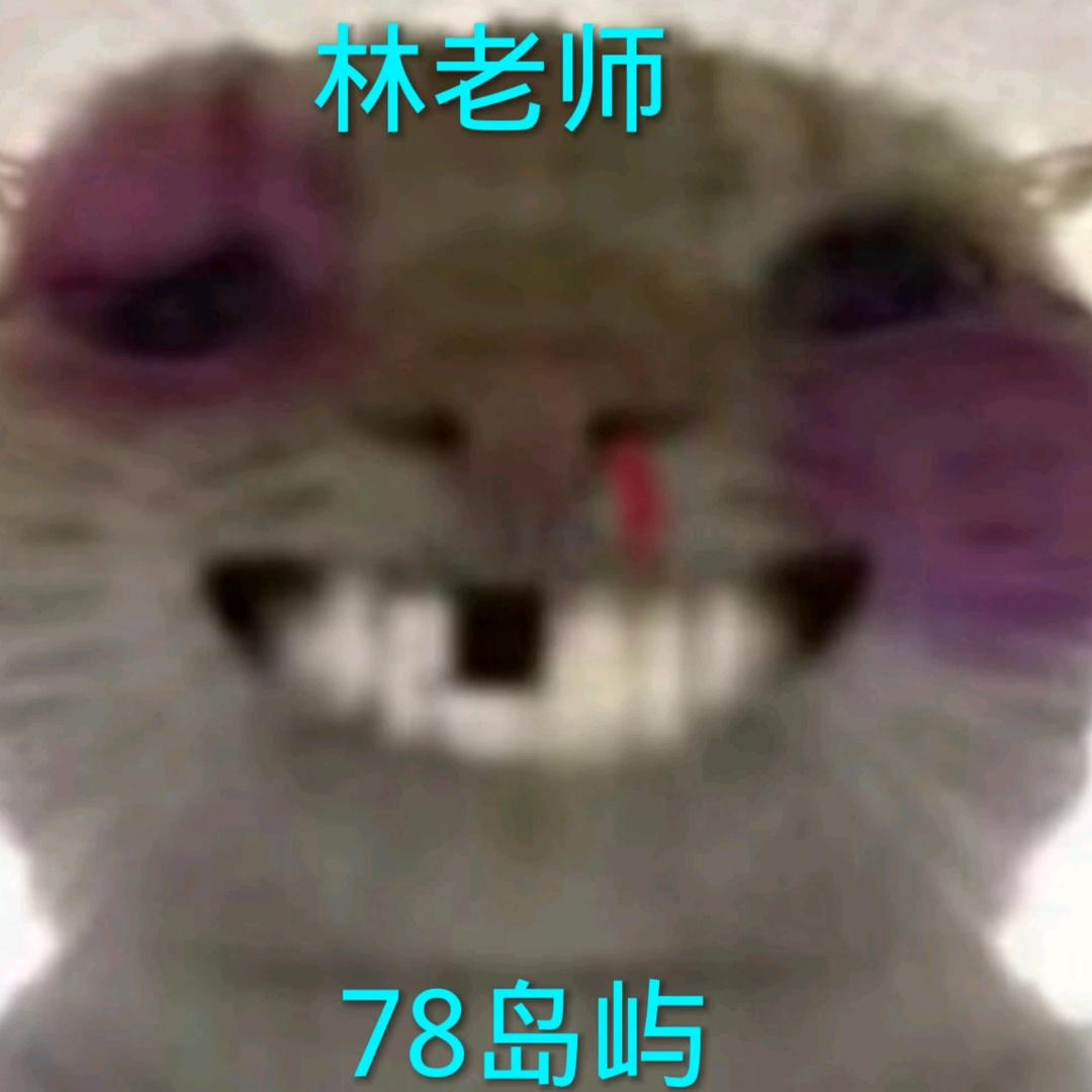 岛屿(林老师)