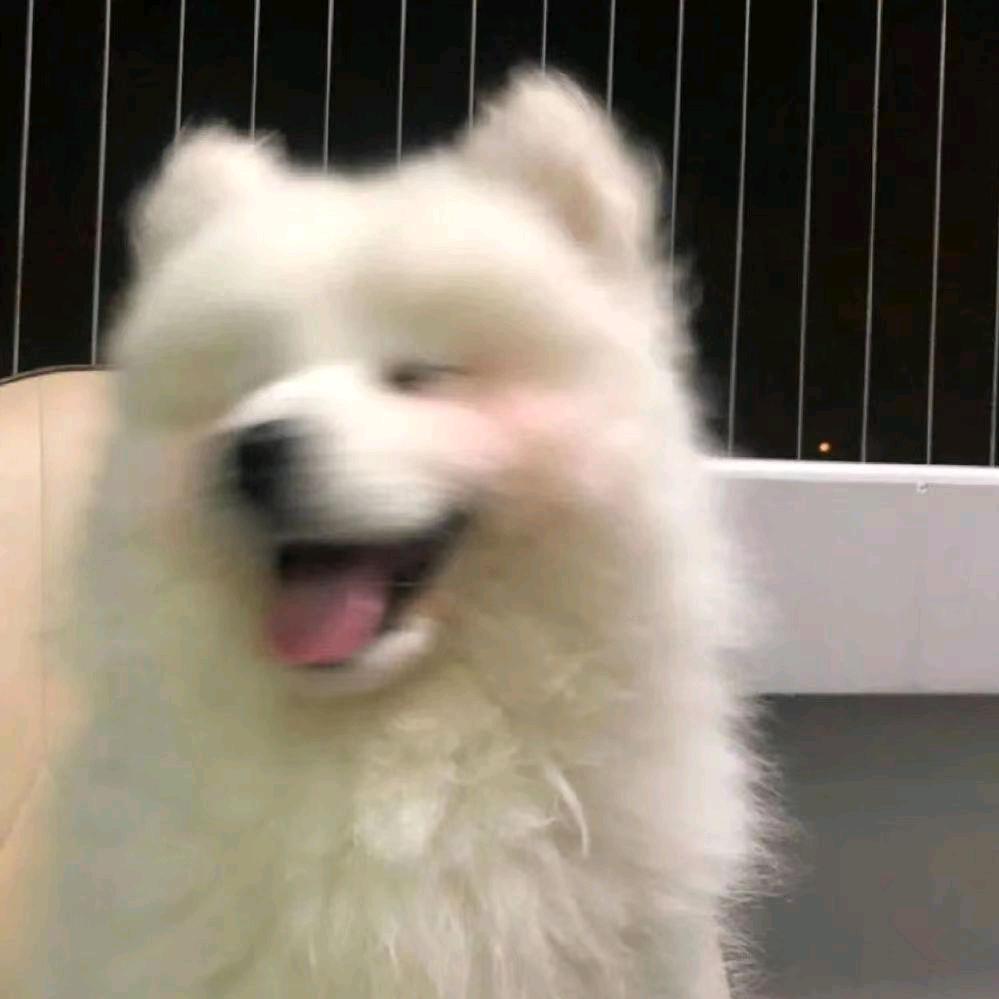 努力睡大觉