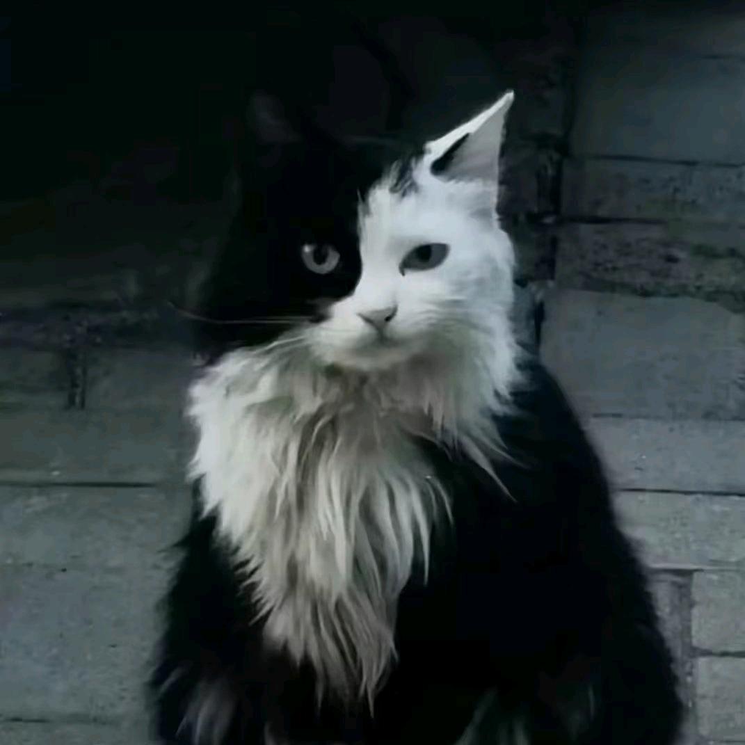 彗星☄️撞地球