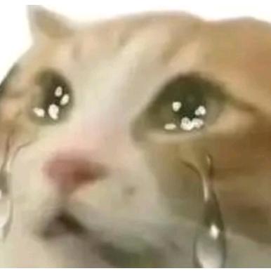 古希腊掌管好人卡的神（爱喝茉莉花）