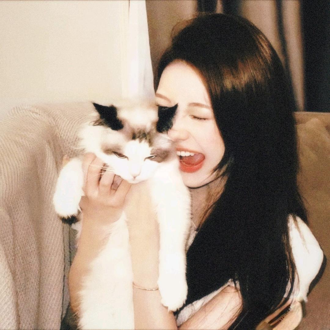 霹雳娇娃哈哈怪