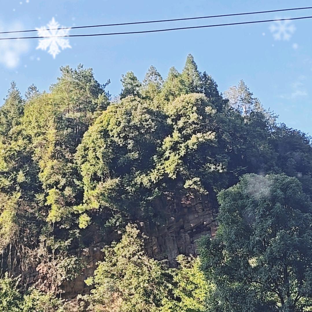 （爱上）（宝）