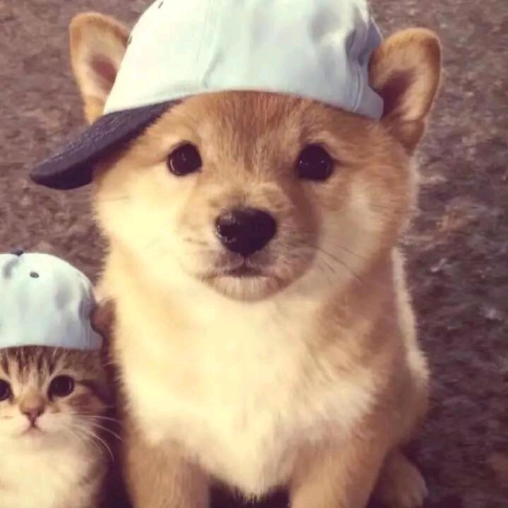 :D