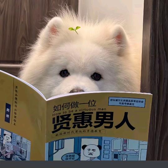 荒