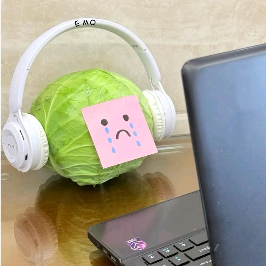 小趴菜～