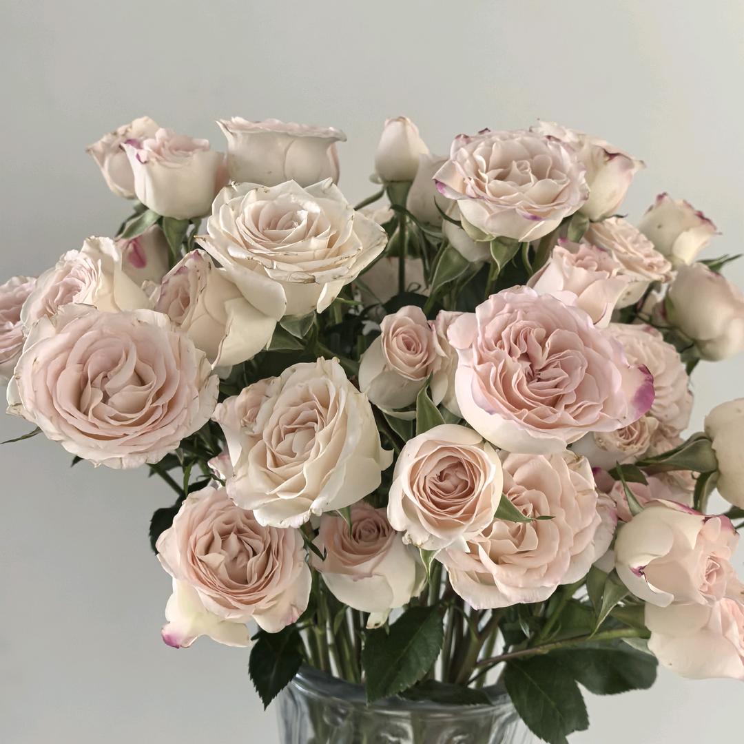 花间一隅