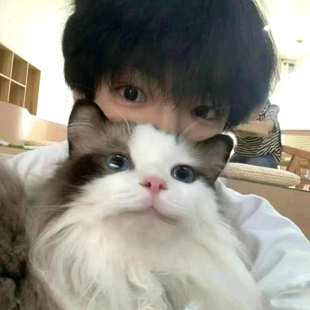 王春磊