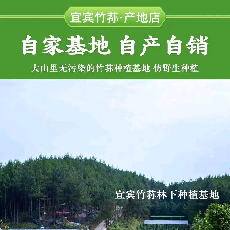 兴文榆小七农特品甄选