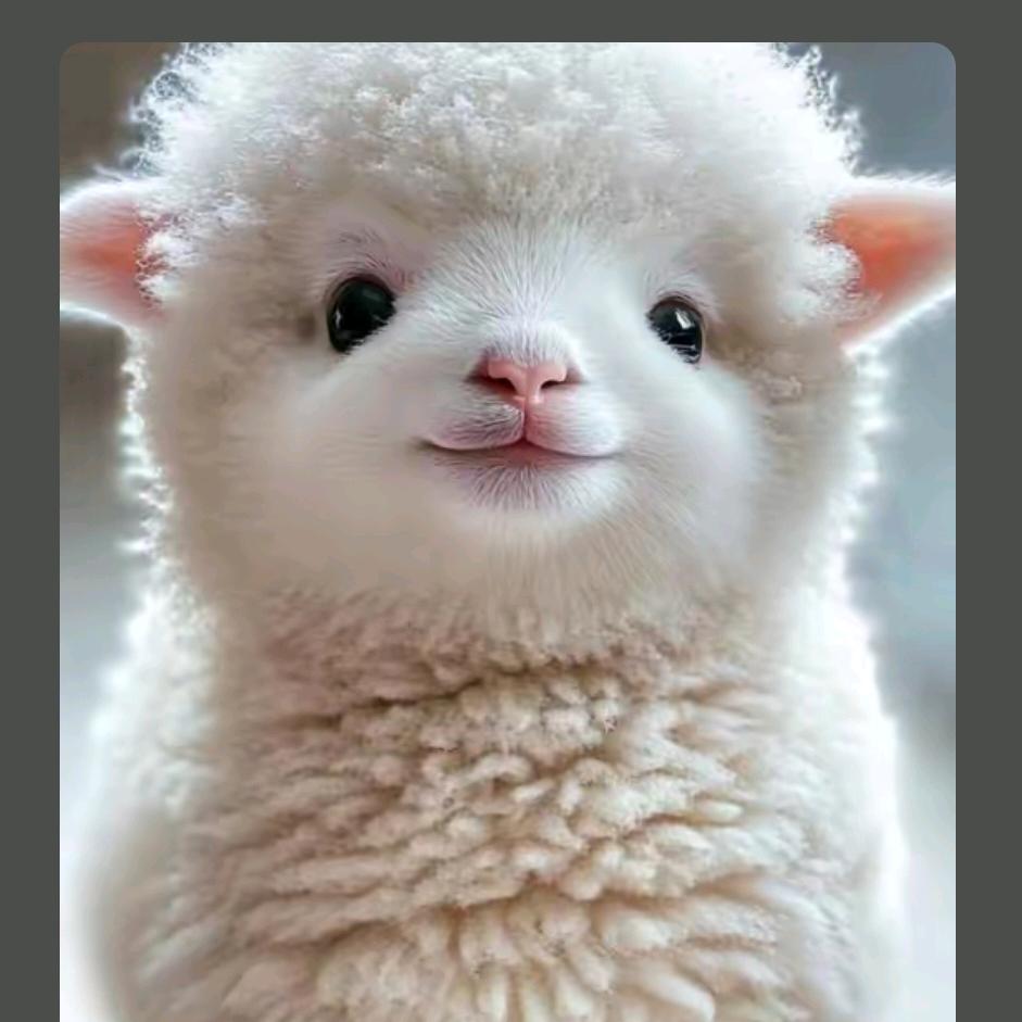 @一千零一个愿望@