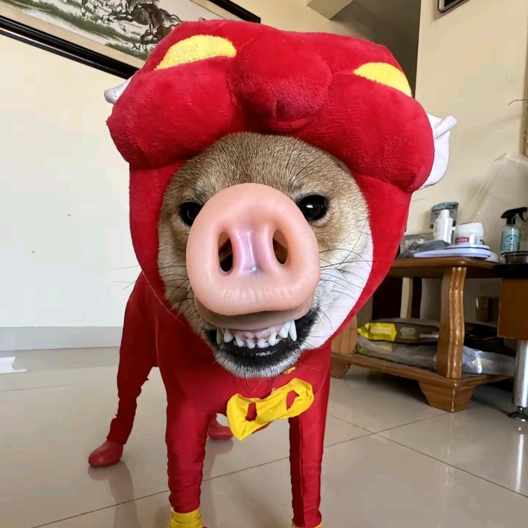 👹7.
