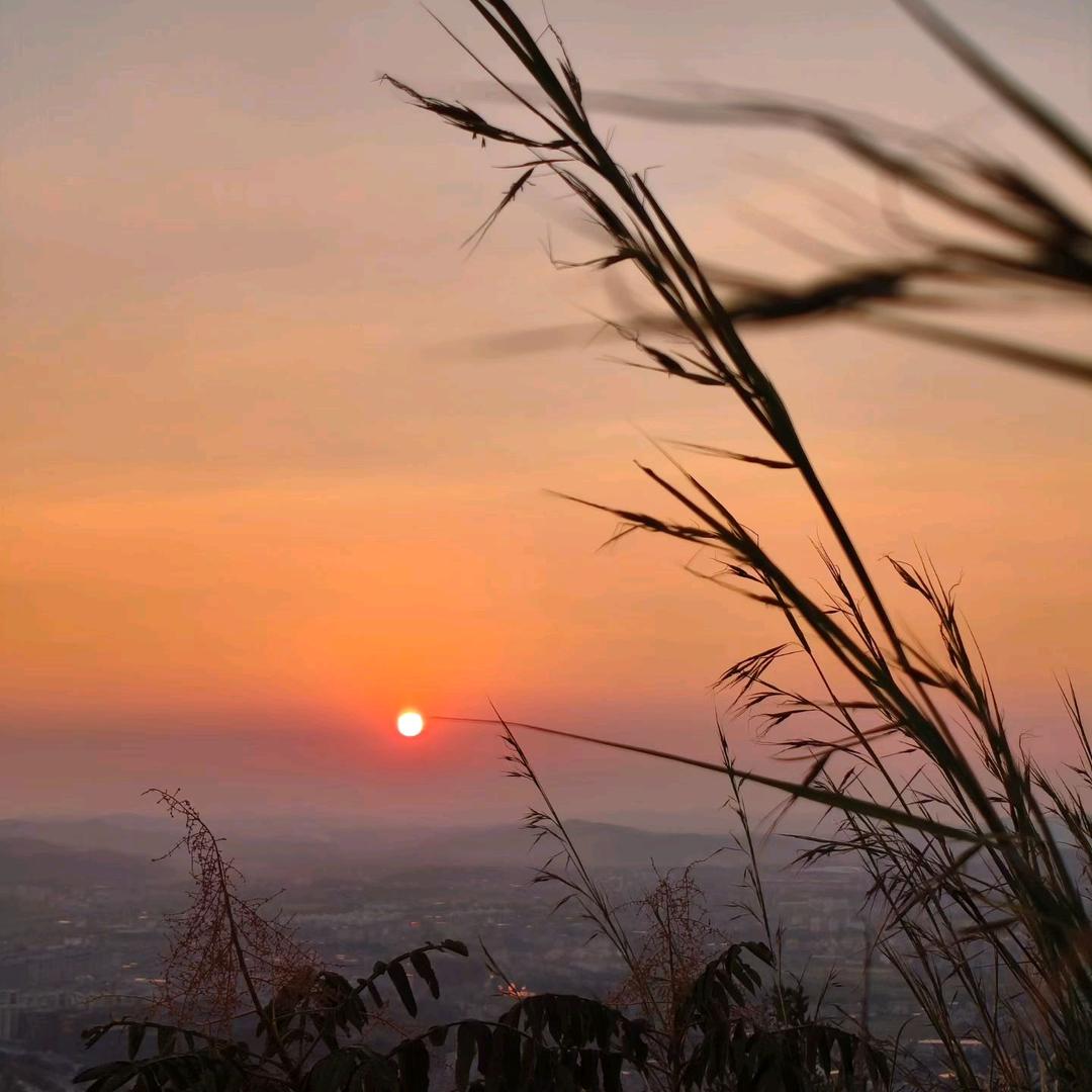 懒得取名字（十七）