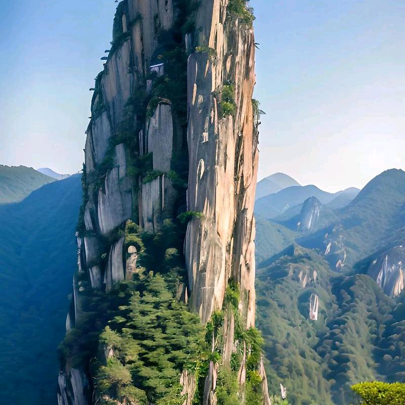 全佳福