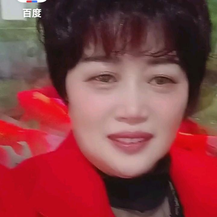 沂南赵姐说媒