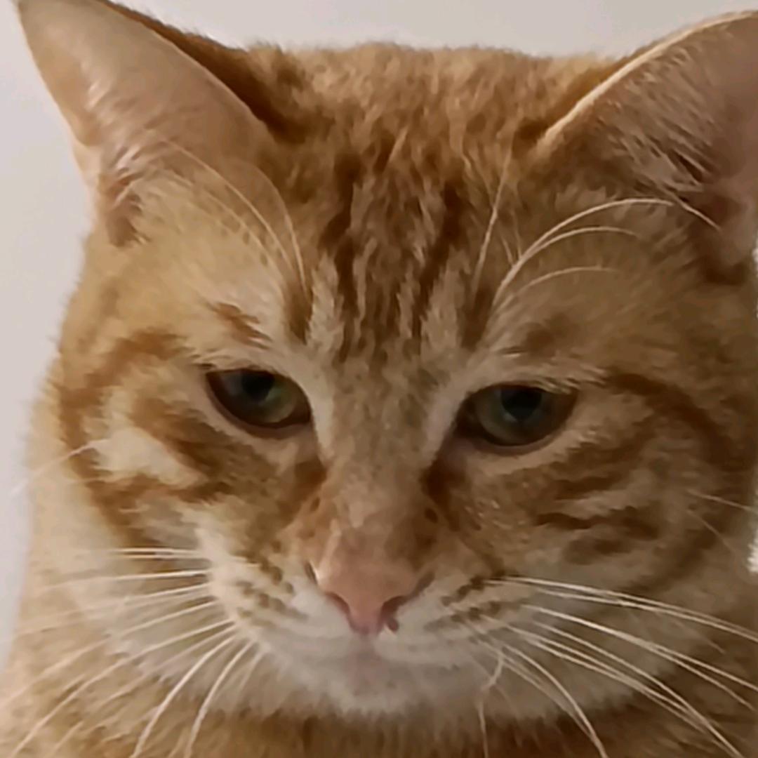 我🌹是🌺王🌷二🍀妹🌹拒绝私聊