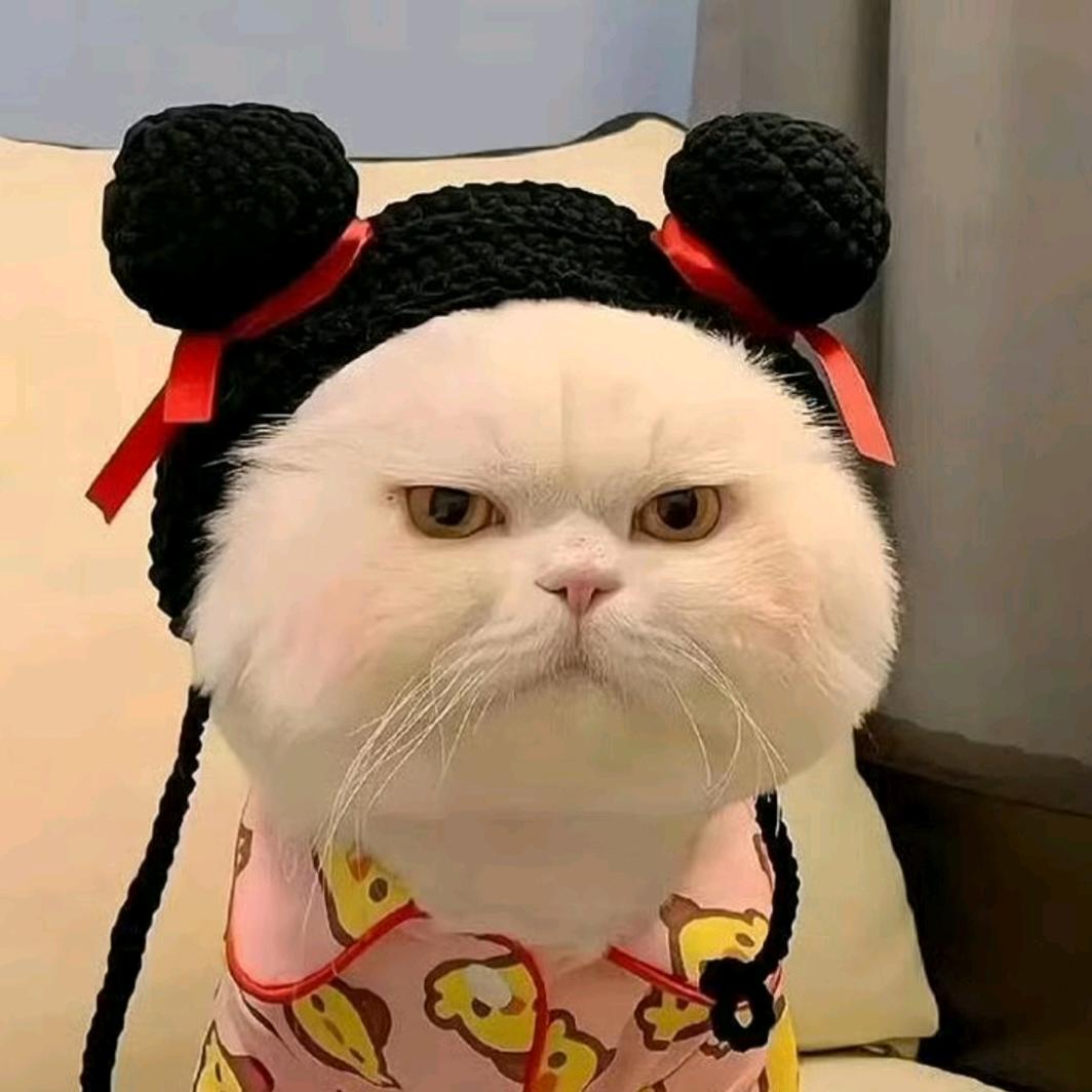 可妍