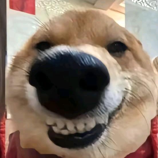 大华仔