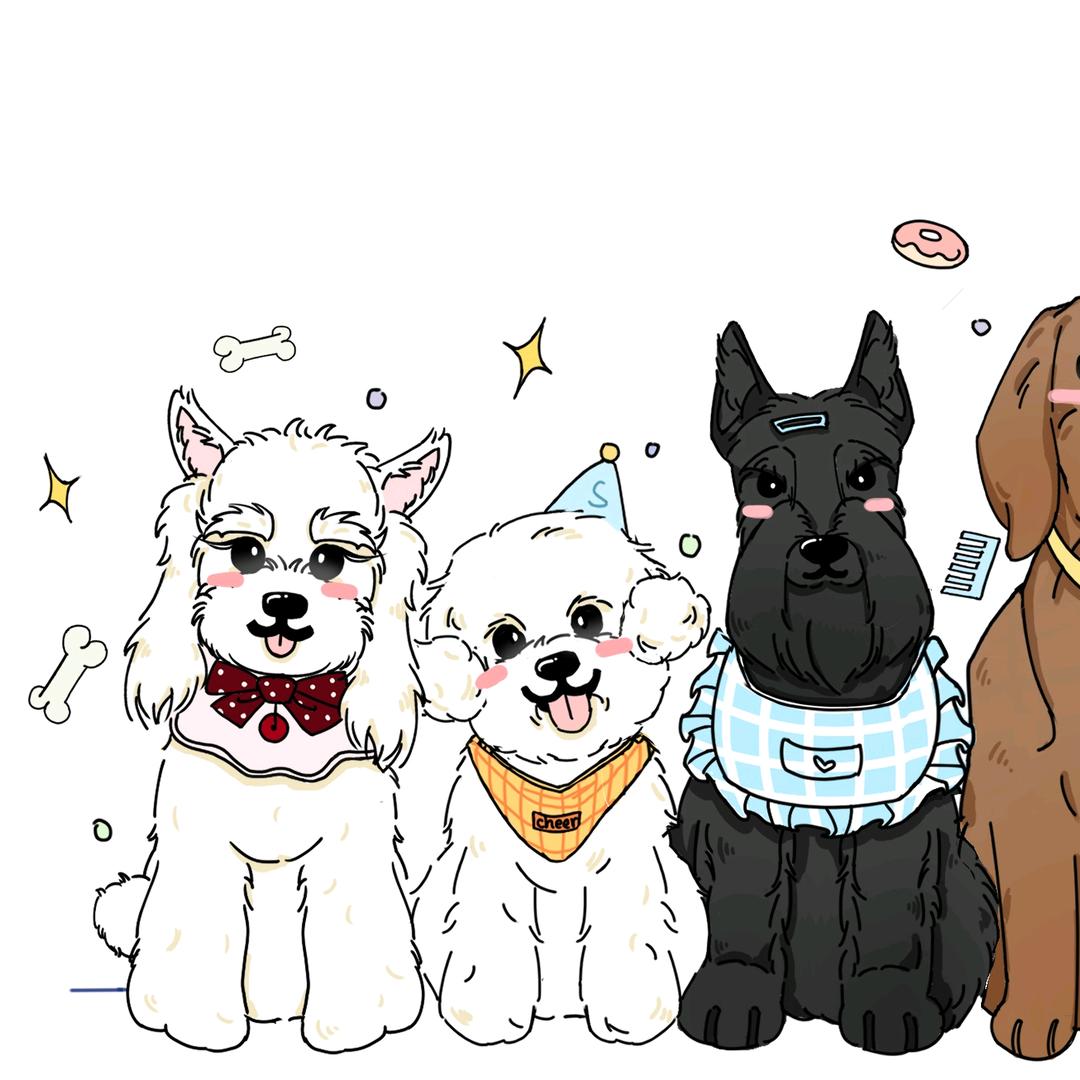 其乐宠物(北城店)🥇即将改名