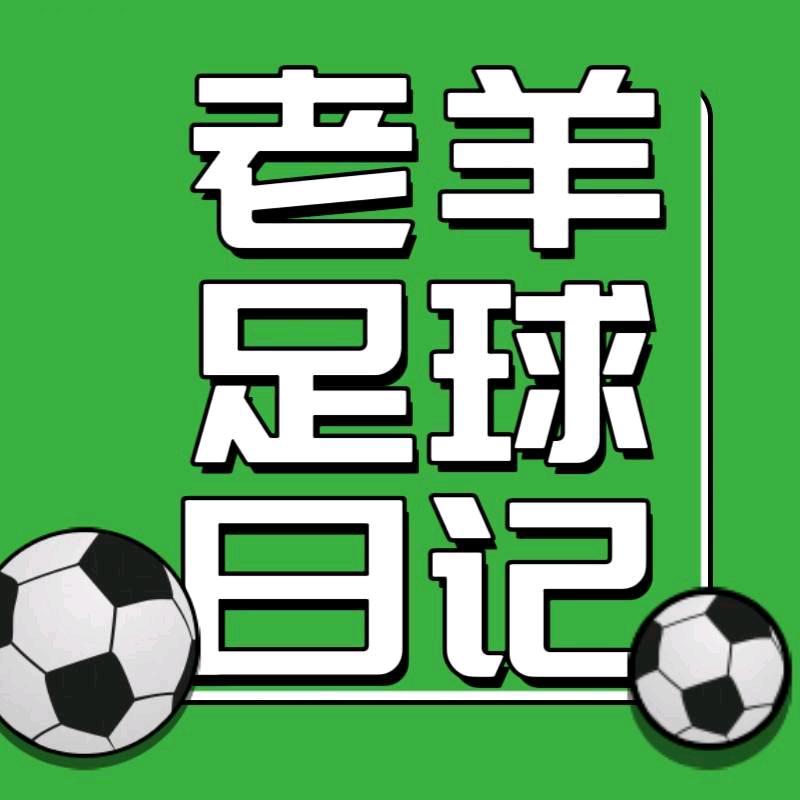 老羊足球日记