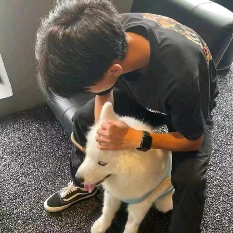 期待一句晚安⁵¹³