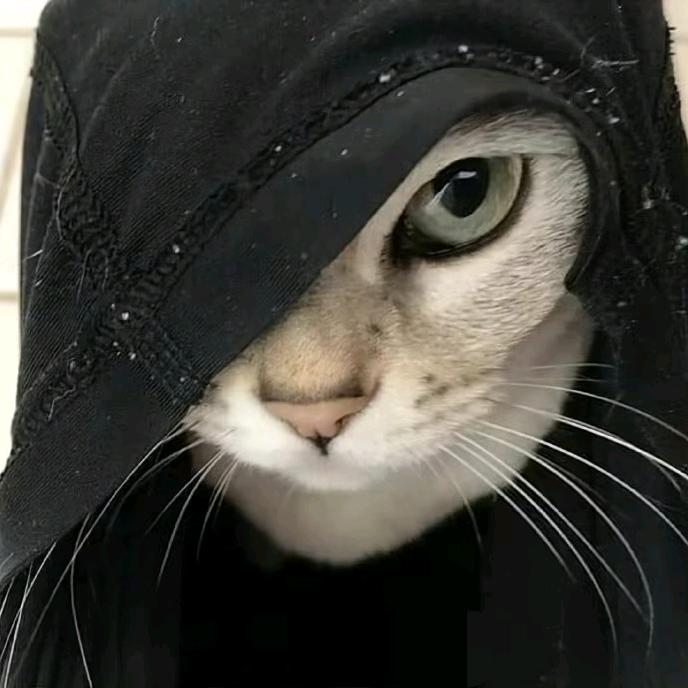 auuuuu