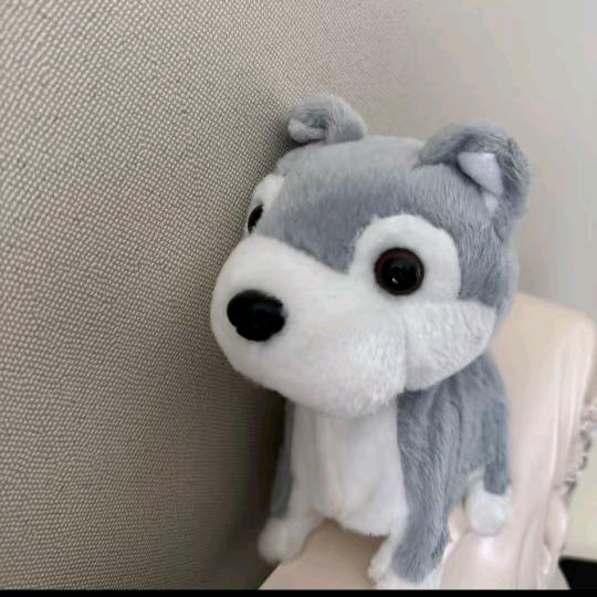 堡堡