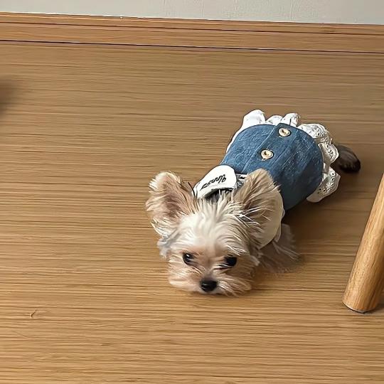 春风十里扬州路