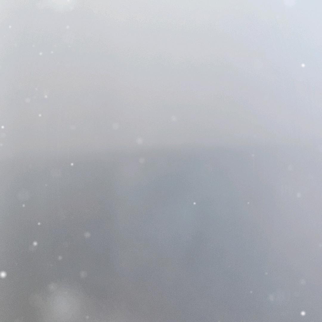 曌撈拭-绍辉网络