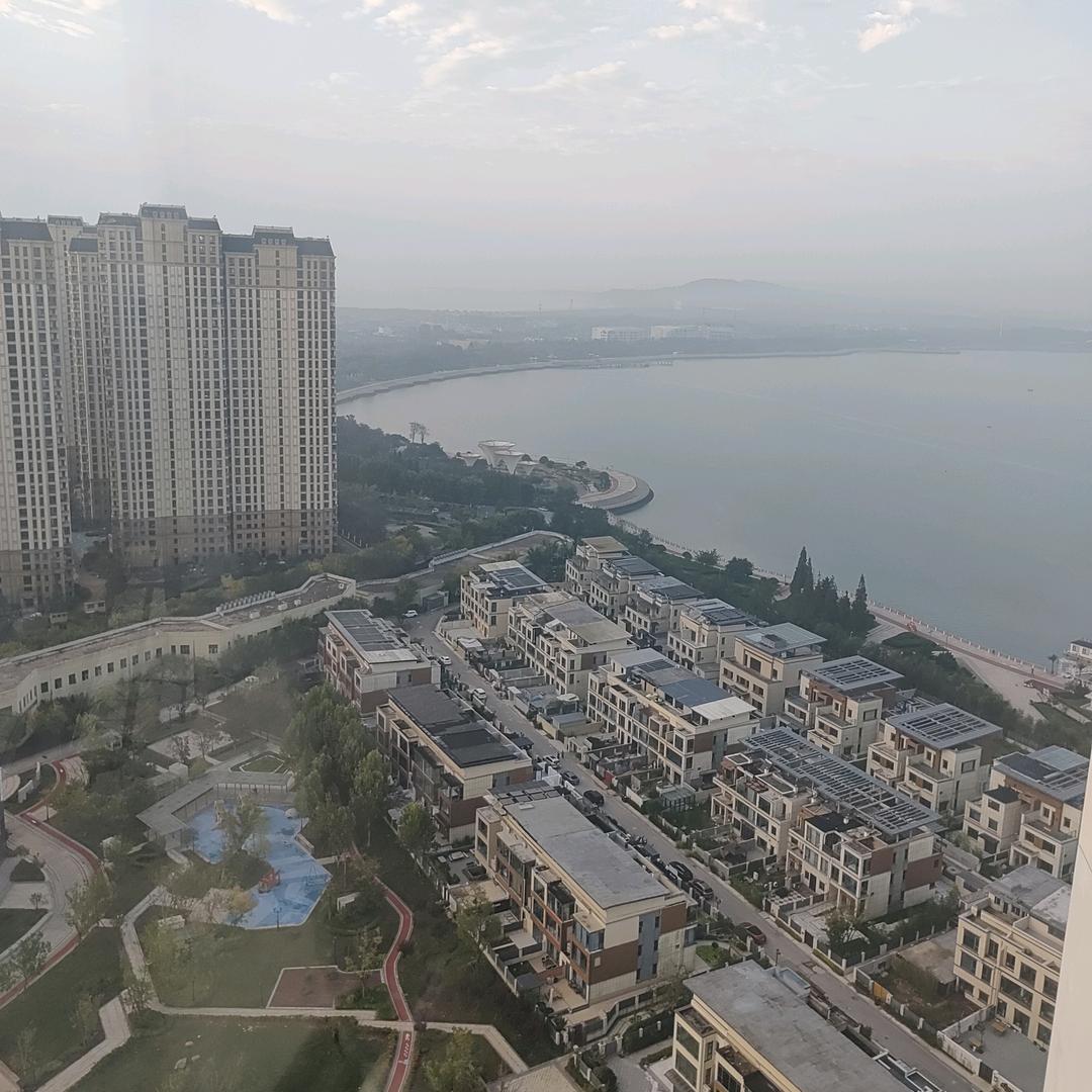 会飞的鱼头像
