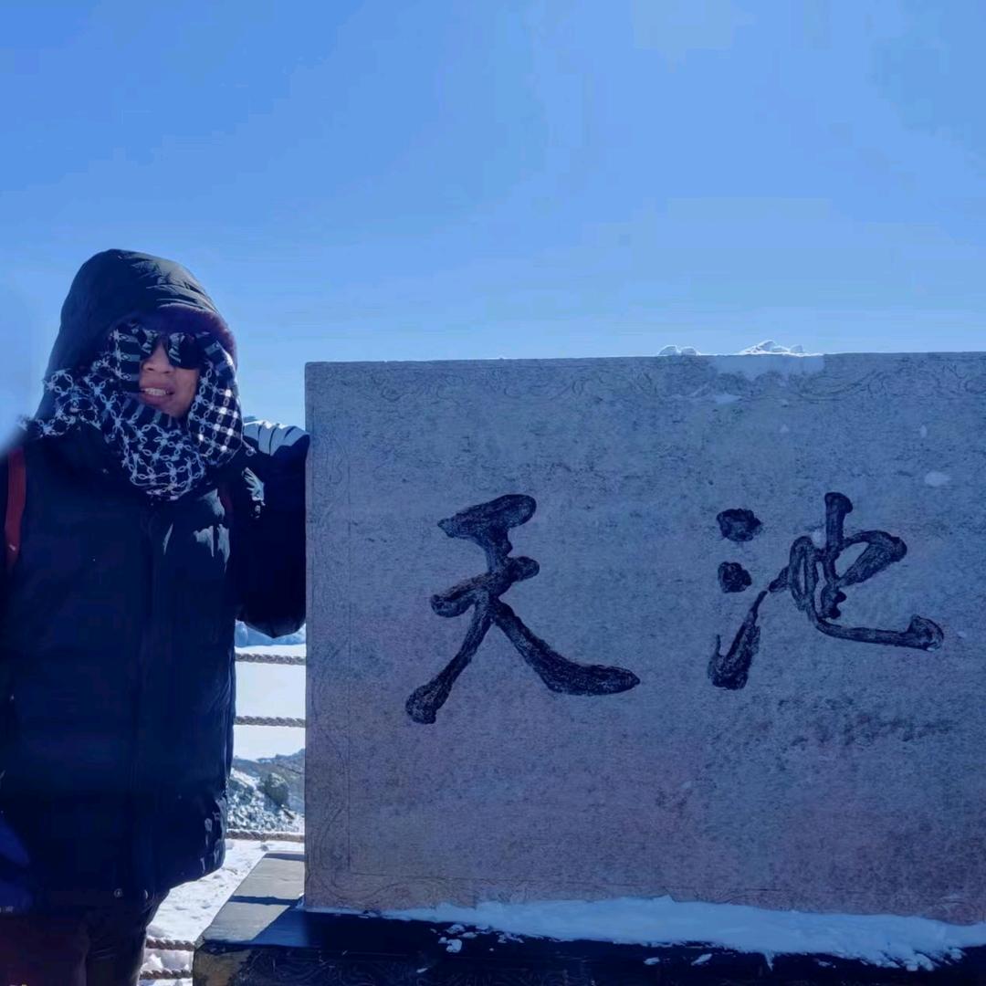 伪物叶