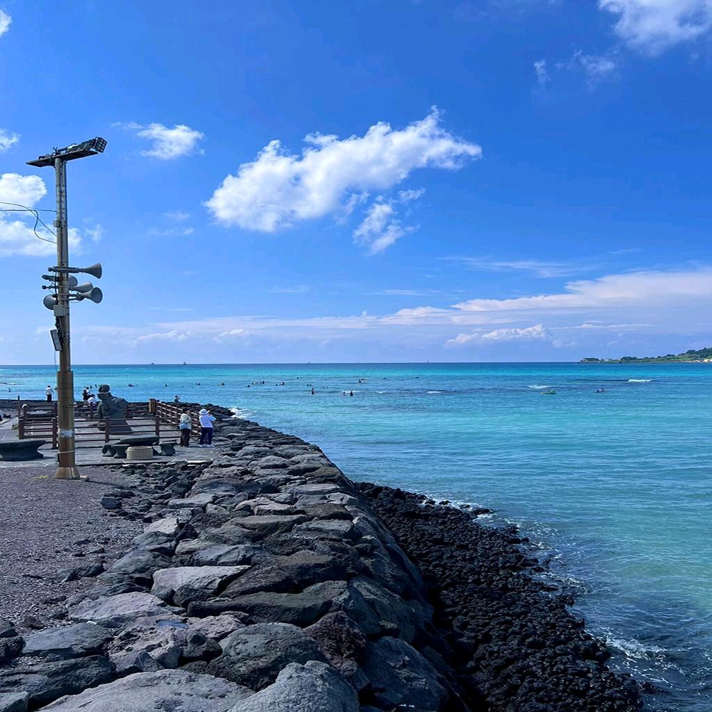 夏春甄选推荐