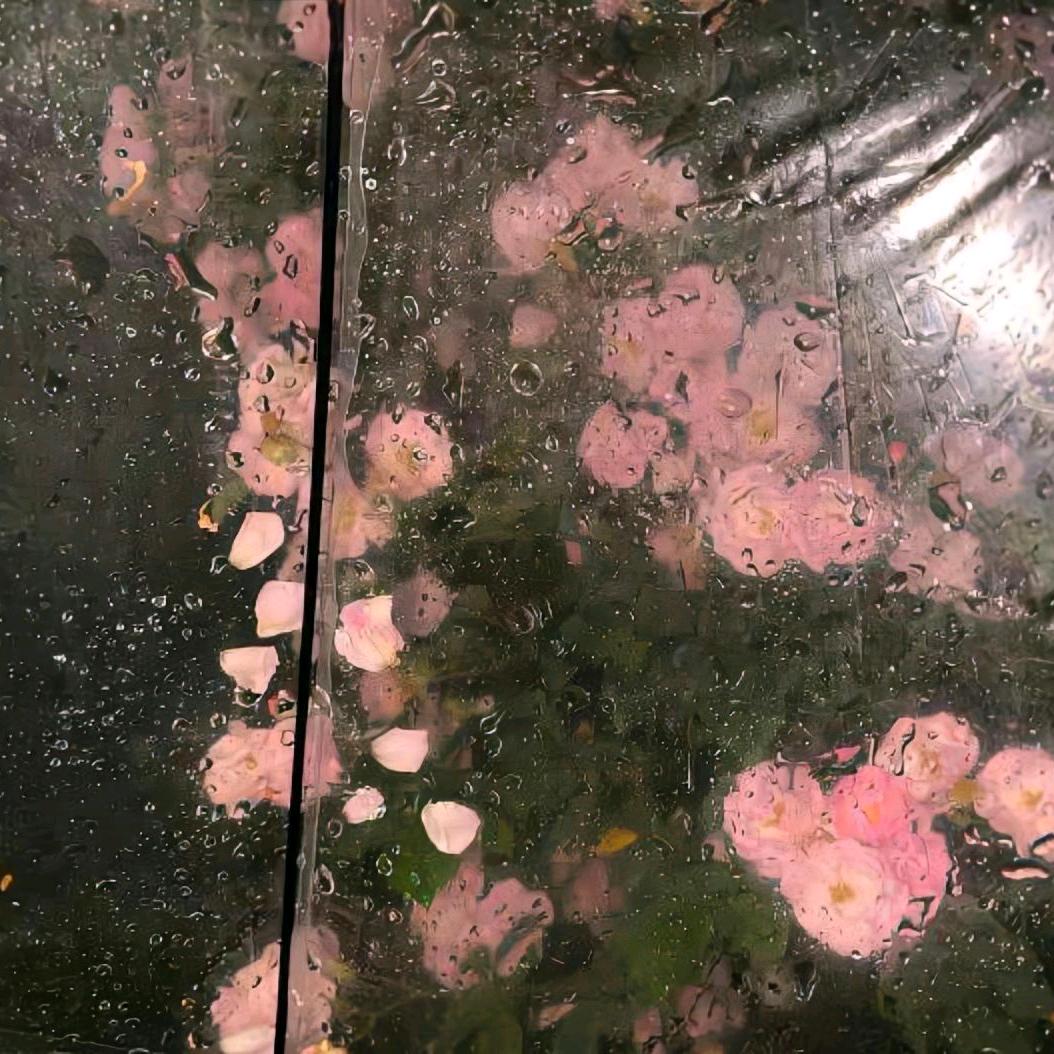 踩烂香菜