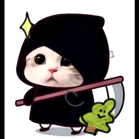 淇宝(已有闺闺)