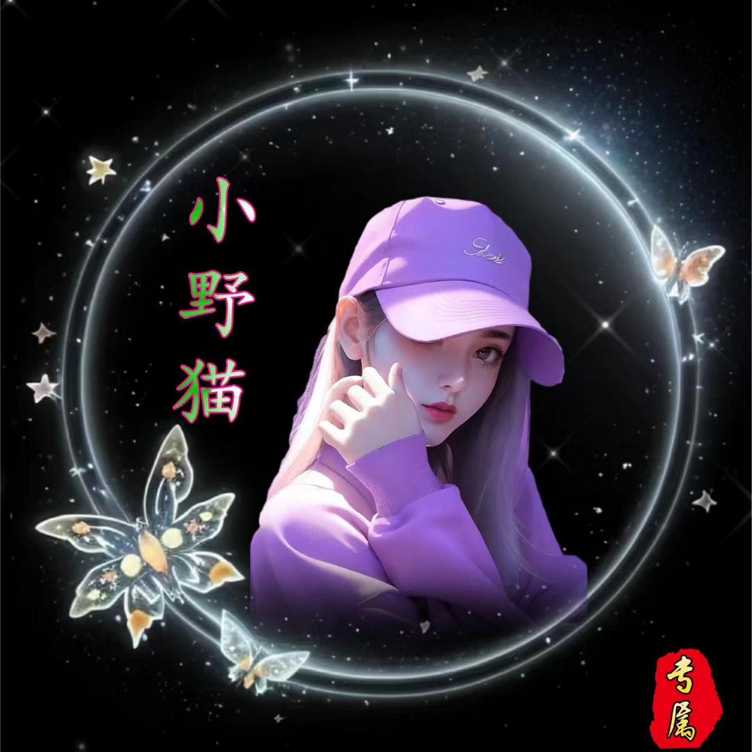 小野猫（糯糯花茶）