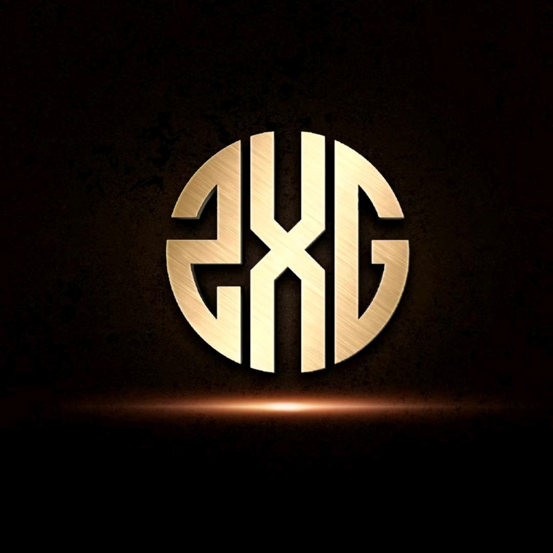 摘星阁ZXG