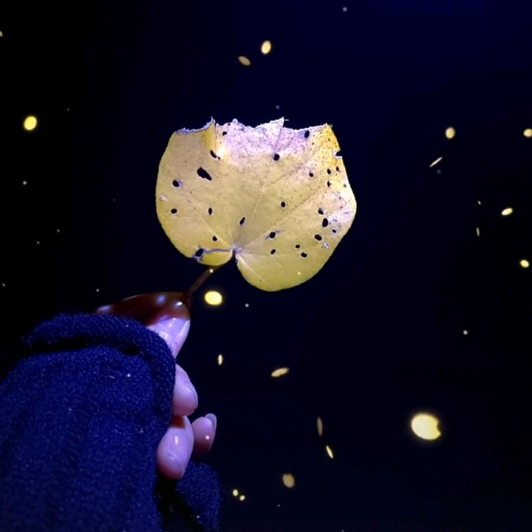 生活很苦～但你要甜