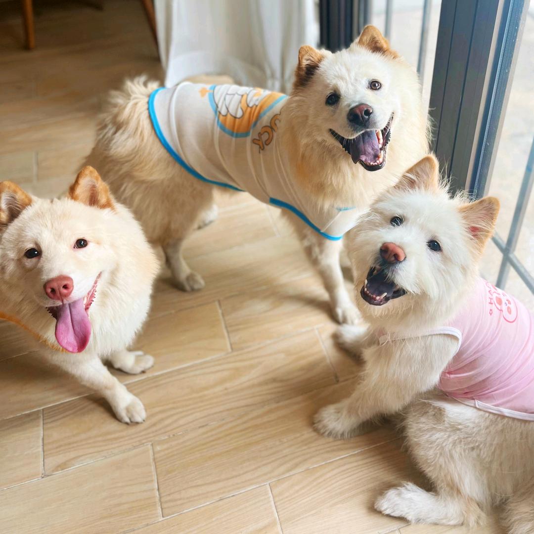 发栗🌰嘟嘟团🌸