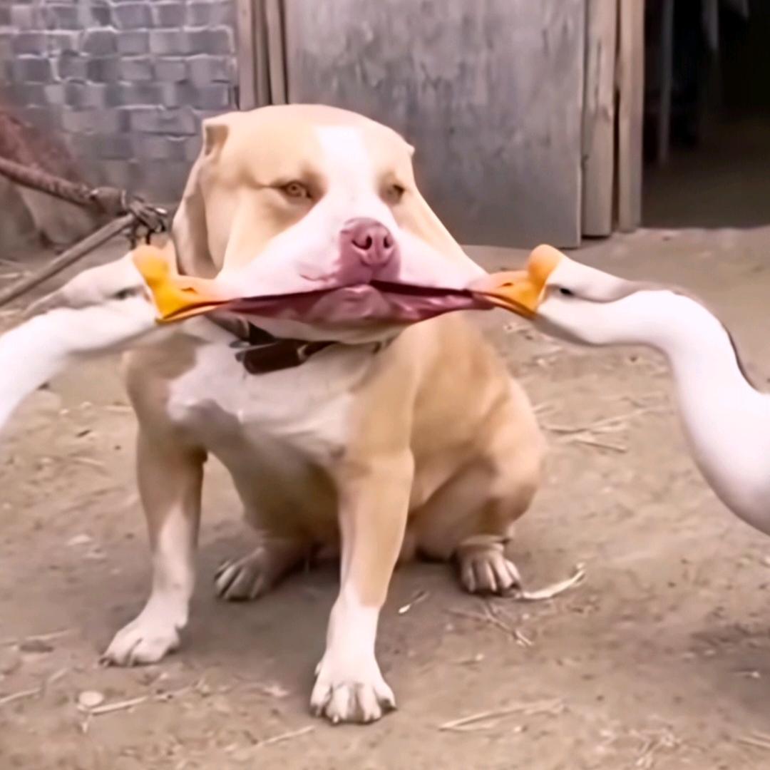 济宁任城回收黄金╬购物卡  可保管