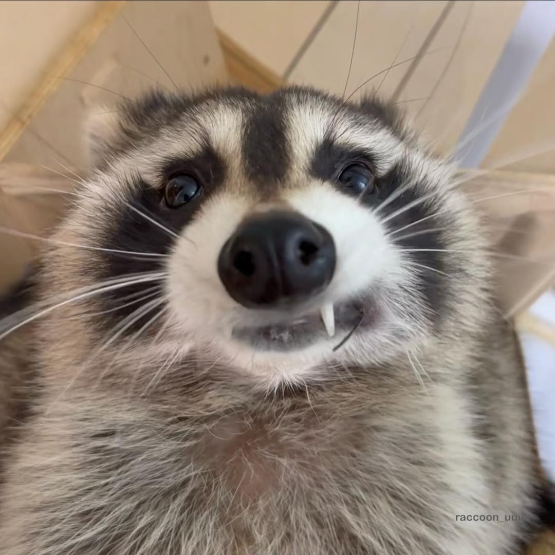 Hu.
