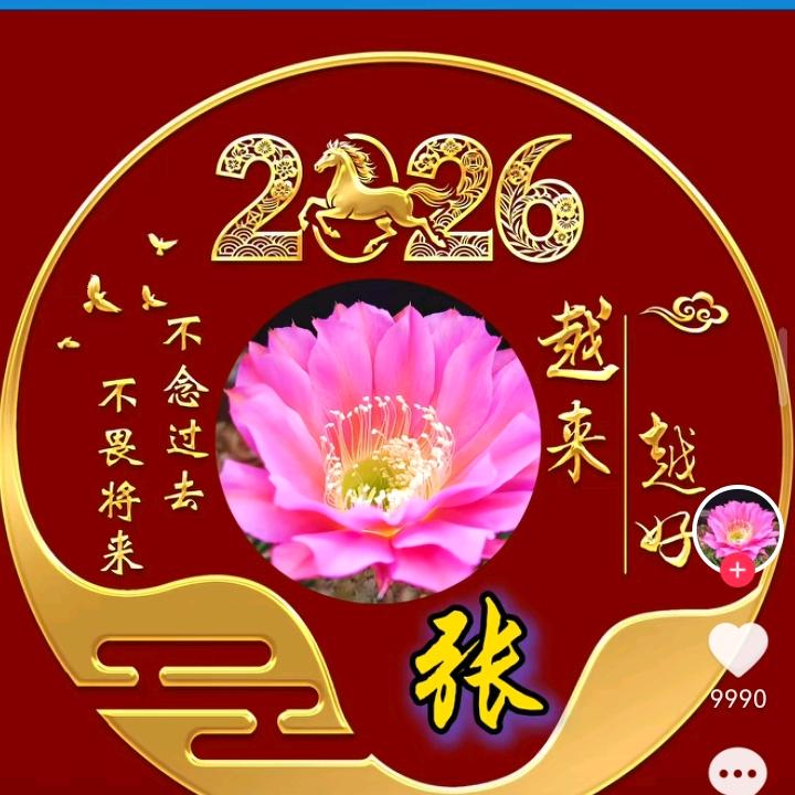 青不争