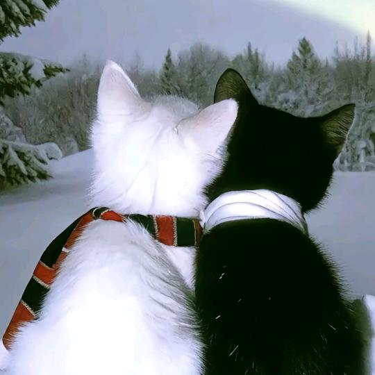 只签了蹭饭协议的流浪学牲